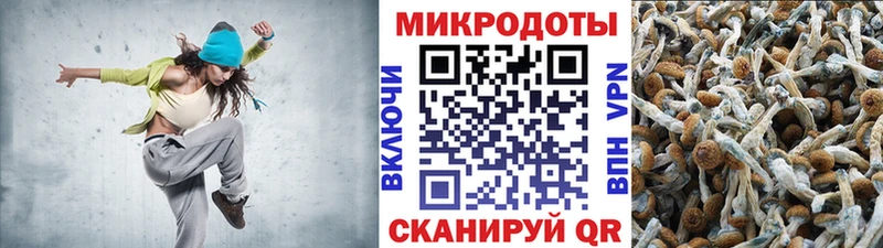 сколько стоит  Кисловодск  Галлюциногенные грибы мухоморы 